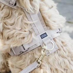 Kentucky Dog Harness Active Velvet -Heimtierbedarf Verkauf prod 15744 218987 0500 none