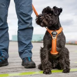 DOG Copenhagen Comfort Walk Air Geschirr -Heimtierbedarf Verkauf prod 15939 220308 0500 none