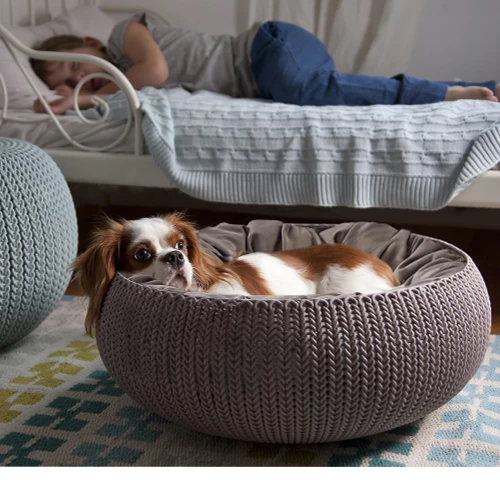Curver Cozy Pet Bed – Bild 4