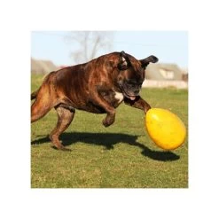 Jolly Egg 12 Jolly Egg -Heimtierbedarf Verkauf product jolly egg none 4 1496839893 86965