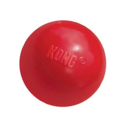 KONG Ball -Heimtierbedarf Verkauf product kong ball none 4 1466058812 69915