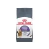 Royal Canin Appetite Control Care - Katzenfutter -Heimtierbedarf Verkauf royal canin appetite control care kattenvoer 221919 0500 none