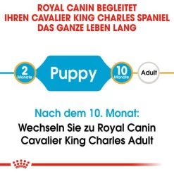 Royal Canin Cavalier King Charles Puppy - Hundefutter -Heimtierbedarf Verkauf royal canin cavalier king charles puppy hondenvoer 137905 0500 none