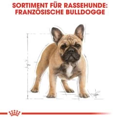 Royal Canin French Bulldog Adult - Hundefutter -Heimtierbedarf Verkauf royal canin french bulldog adult hondenvoer 138622 0500 none