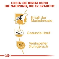 Royal Canin French Bulldog Adult - Hundefutter -Heimtierbedarf Verkauf royal canin french bulldog adult hondenvoer 138640 0500 none