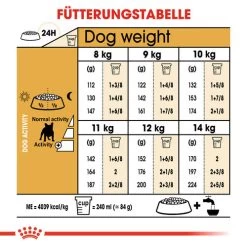 Royal Canin French Bulldog Adult - Hundefutter -Heimtierbedarf Verkauf royal canin french bulldog adult hondenvoer 138658 0500 none