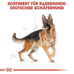 Royal Canin German Shepherd Adult - Hundefutter -Heimtierbedarf Verkauf royal canin german shepherd adult hondenvoer 138751 0500 none