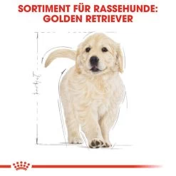 Royal Canin Golden Retriever Puppy - Hundefutter -Heimtierbedarf Verkauf royal canin golden retriever puppy hondenvoer 138958 0500 none