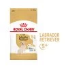 Royal Canin Labrador Retriever Adult 5+ -Heimtierbedarf Verkauf royal canin labrador retriever adult 5 165148 0500 none