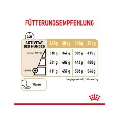 Royal Canin Labrador Retriever Adult 5+ -Heimtierbedarf Verkauf royal canin labrador retriever adult 5 165172 0500 none