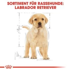 Royal Canin Labrador Retriever Puppy - Hundefutter -Heimtierbedarf Verkauf royal canin labrador retriever puppy hondenvoer 139438 0500 none