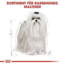 Royal Canin Maltese Adult - Hundefutter -Heimtierbedarf Verkauf royal canin maltese adult hondenvoer 139570 0500 none