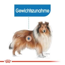 Royal Canin Maxi Light Weight Care - Hundefutter -Heimtierbedarf Verkauf royal canin maxi light weight care hondenvoer 132599 0500 none