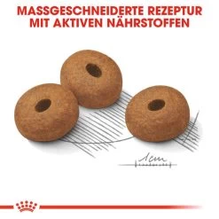 Royal Canin Maxi Light Weight Care - Hundefutter -Heimtierbedarf Verkauf royal canin maxi light weight care hondenvoer 132617 0500 none