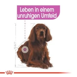 Royal Canin Medium Relax Care - Hundefutter -Heimtierbedarf Verkauf royal canin medium relax care hondenvoer 131183 0500 none