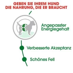 Royal Canin Mini Adult - Hundefutter -Heimtierbedarf Verkauf royal canin mini adult hondenvoer 128648 0500 none