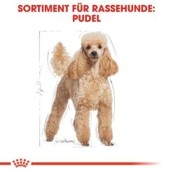 Royal Canin Poodle Adult - Hundefutter -Heimtierbedarf Verkauf royal canin poodle adult hondenvoer 139663 0500 none