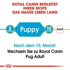 Royal Canin Pug Puppy - Hundefutter -Heimtierbedarf Verkauf royal canin pug puppy hondenvoer 139858 0500 none