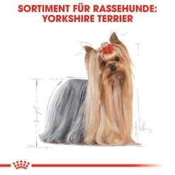 Royal Canin Yorkshire Terrier Adult - Hundefutter 12 Royal Canin Yorkshire Terrier Adult - Hundefutter -Heimtierbedarf Verkauf royal canin yorkshire terrier adult hondenvoer 140714 0500 none