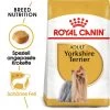 Royal Canin Yorkshire Terrier Adult - Hundefutter 1 Royal Canin Yorkshire Terrier Adult - Hundefutter -Heimtierbedarf Verkauf royal canin yorkshire terrier adult hondenvoer 140768 0500 none