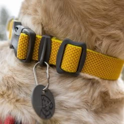 Ruffwear Hi & Light Halsband -Heimtierbedarf Verkauf ruffwear hi light collar 194258 0500 none