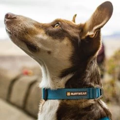Ruffwear Hi & Light Halsband -Heimtierbedarf Verkauf ruffwear hi light collar 194264 0500 none