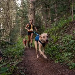 Ruffwear Roamer Leash - Blue Atoll -Heimtierbedarf Verkauf ruffwear roamer leash blue atoll 204797 0500 none