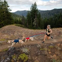 Ruffwear Roamer Leash - Blue Atoll -Heimtierbedarf Verkauf ruffwear roamer leash blue atoll 204800 0500 none