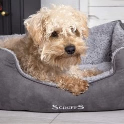 Scruffs Cosy Box Bett -Heimtierbedarf Verkauf scruffs cosy box bed 209483 0500 none