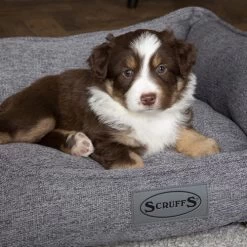 Scruffs Manhattan Box Bett -Heimtierbedarf Verkauf scruffs manhattan box bed 209513 0500 none
