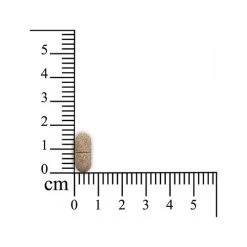 Sensipharm Joint Renew Plus -Heimtierbedarf Verkauf sensipharm joint renew plus huisdieren 174892 0500 none