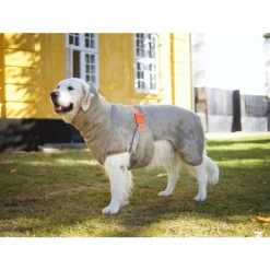 Siccaro WetDog SupremePro -Heimtierbedarf Verkauf siccaro wetdog supremepro 20 216997 0500 none