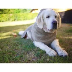 Siccaro WetDog SupremePro -Heimtierbedarf Verkauf siccaro wetdog supremepro 20 216998 0500 none