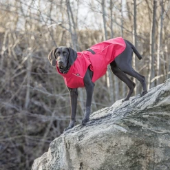 Trixie Regenjacke Vimy -Heimtierbedarf Verkauf trixie regenjas vimy 204854 0500 none