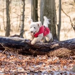 Trixie Regenjacke Vimy -Heimtierbedarf Verkauf trixie regenjas vimy 204857 0500 none