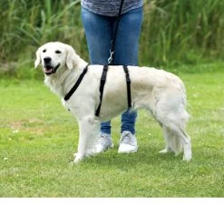 Trixie Stay Sicherheitsgeschirr -Heimtierbedarf Verkauf trixie stay hondentuig 95231 0500 none