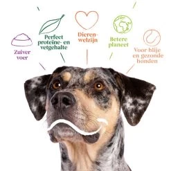 Yarrah - Bio Trockenfutter Vega Getreidefrei 9 Yarrah - Bio Trockenfutter Vega Getreidefrei -Heimtierbedarf Verkauf yarrah bio droogvoer hond vega graanvrij 201212 0500 none