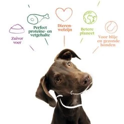 Yarrah - Getreidefreies Trockenfutter Bio -Heimtierbedarf Verkauf yarrah droogvoer hond graanvrij bio 201170 0500 none