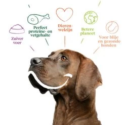 Yarrah - Trockenfutter Sensitiv Mit Huhn Und Reis Bio 9 Yarrah - Trockenfutter Sensitiv Mit Huhn Und Reis Bio -Heimtierbedarf Verkauf yarrah droogvoer hond sensitive bio 199148 0500 none