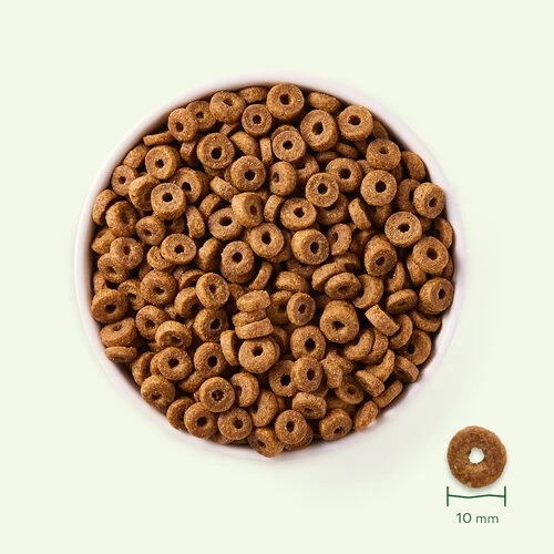 Yarrah - Trockenfutter Huhn Für Katzen Bio 4 Yarrah - Trockenfutter Huhn Für Katzen Bio – Bild 2