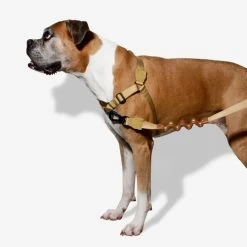 Zee.Dog Soft Walk Harness -Heimtierbedarf Verkauf zeedog soft walk harness 200678 0500 none
