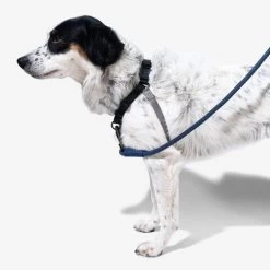 Zee.Dog Soft Walk Harness -Heimtierbedarf Verkauf zeedog soft walk harness 200684 0500 none