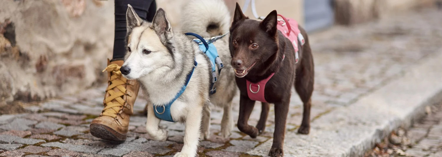 Heimtierbedarf Verkauf 2 Heimtierbedarf Verkauf -Heimtierbedarf Verkauf 1